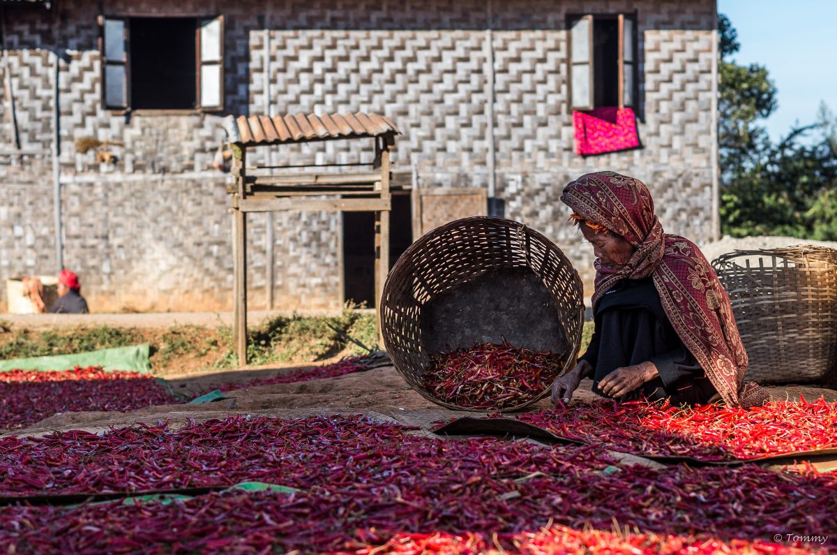 Chilianbau, Kalaw, Lake Inle, Myanmar