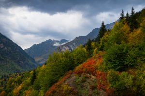 georgian-autumn